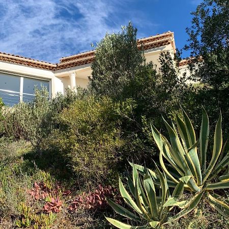 Maison Avec Vue Panoramique Cavalaire-sur-Mer Eksteriør billede